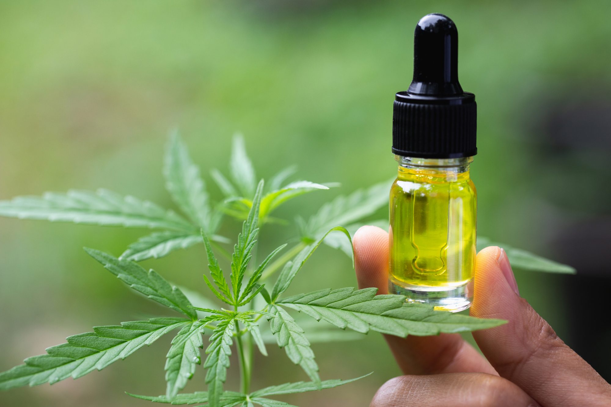 Can CBD Oil Help You Focus post thumbnail image